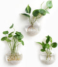 Mkono Wall Hanging Planter Propagation Station Glass Flower Vase for Hydroponics Plants, Bathroom, Home Office Living Room Decor Gift, Oblate Set of 4