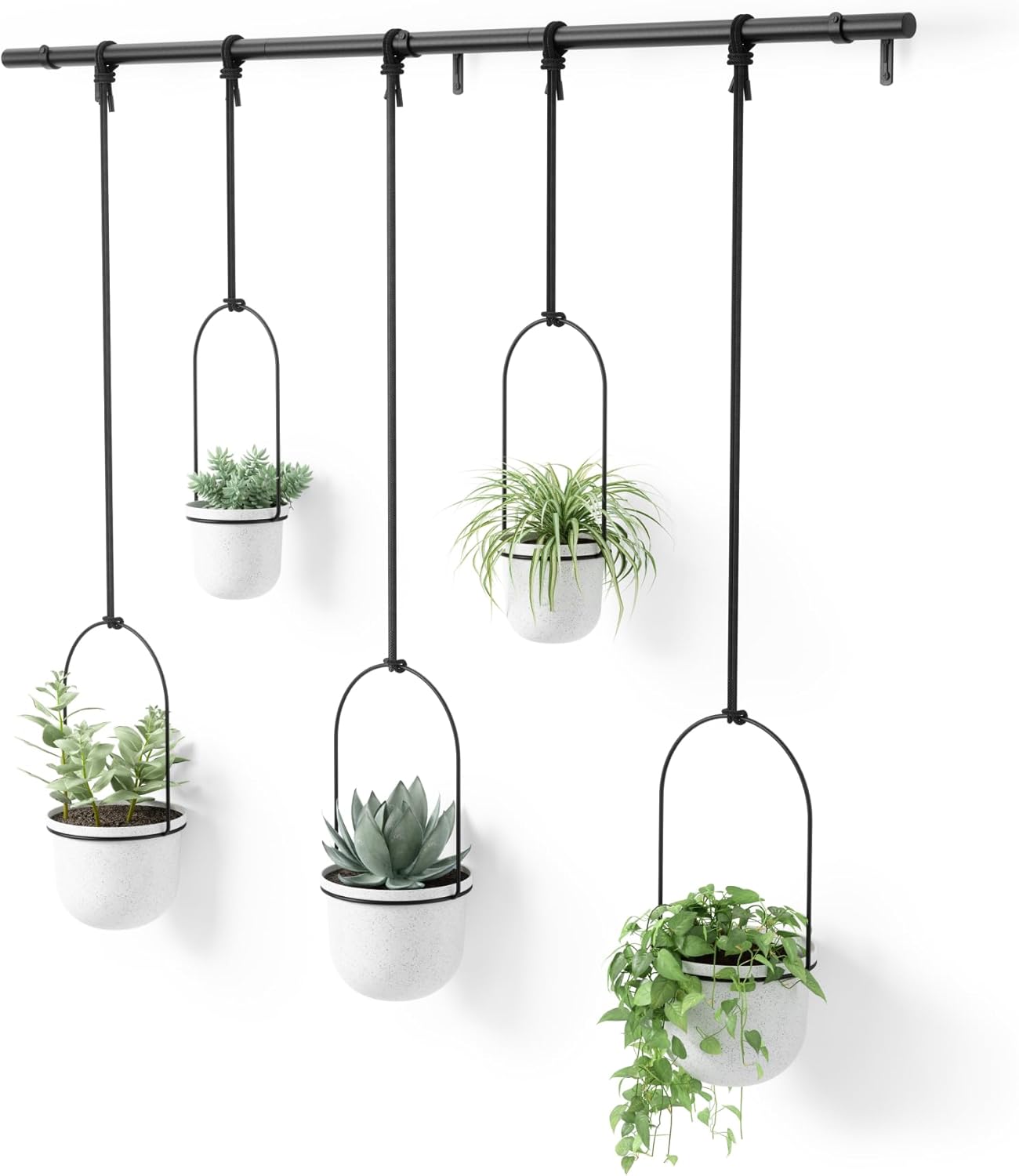 Umbra Triflora Hanging Planter for Window, Indoor Herb Garden, Set of 3, White/Black
