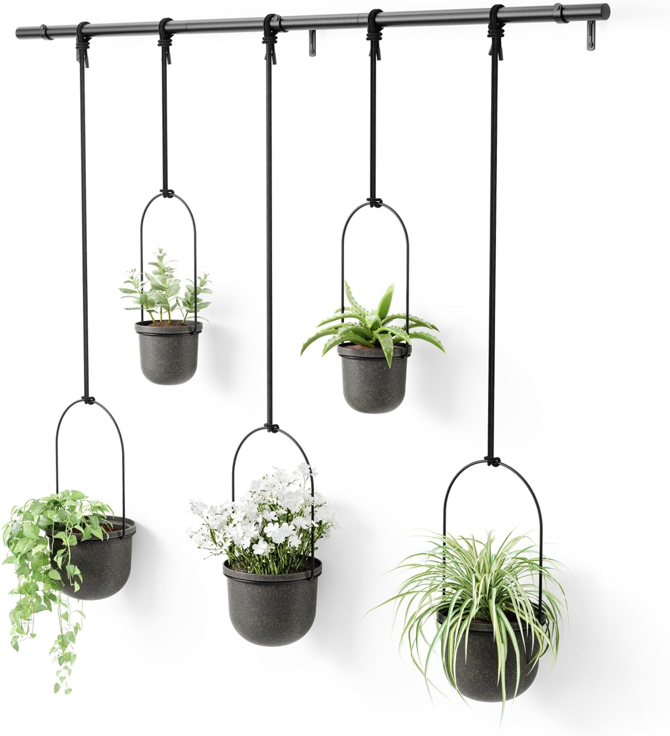 Umbra Triflora Hanging Planter for Window, Indoor Herb Garden, Set of 3, White/Black