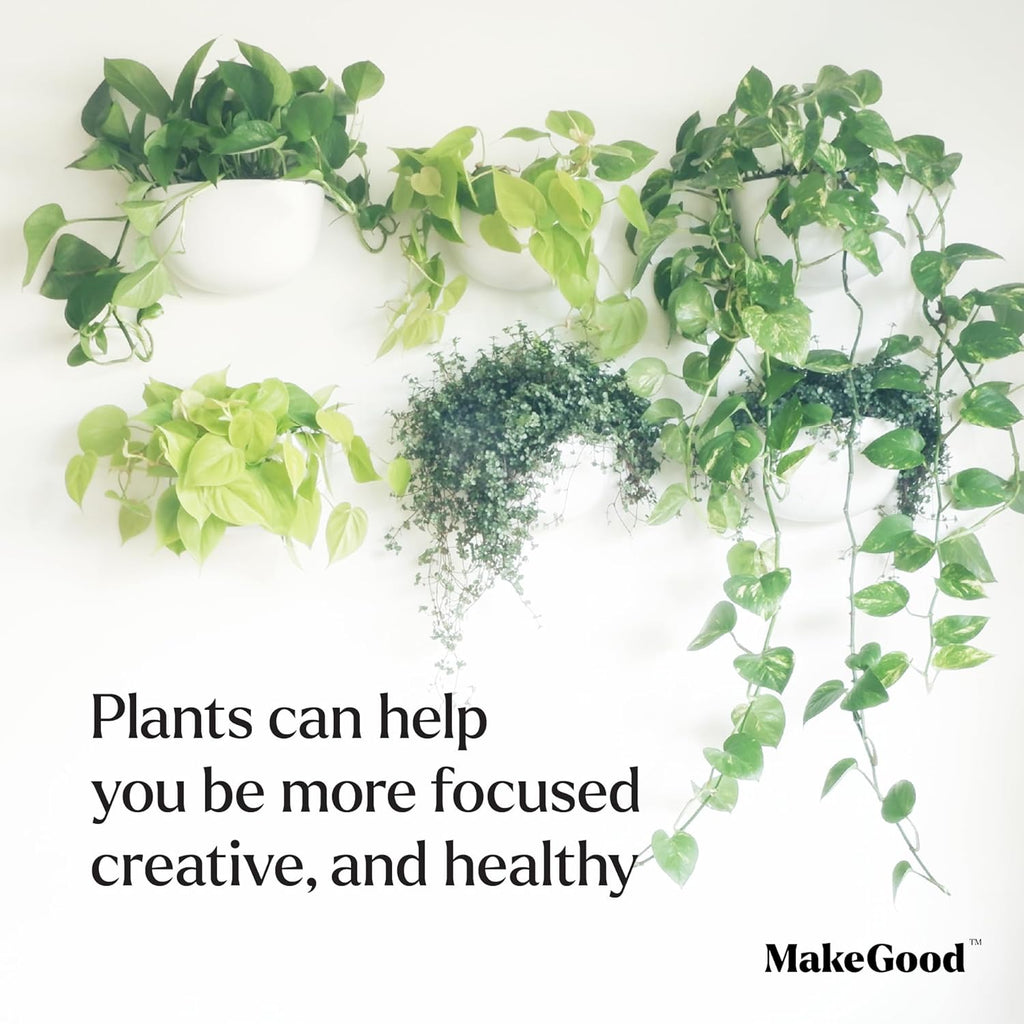 Make Good Virgo Wall Planters (Wide, Set of 6) - Easy to Water and Install - Lightweight - Design Your Own Vertical Garden - Melamine Plastic