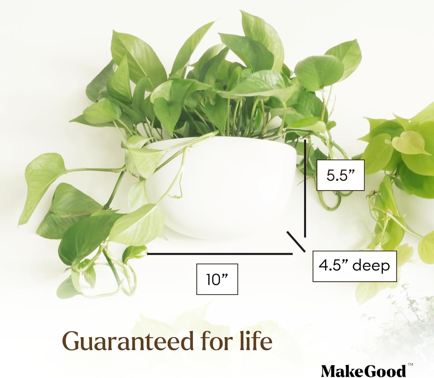 Make Good Virgo Wall Planters (Wide, Set of 6) - Easy to Water and Install - Lightweight - Design Your Own Vertical Garden - Melamine Plastic