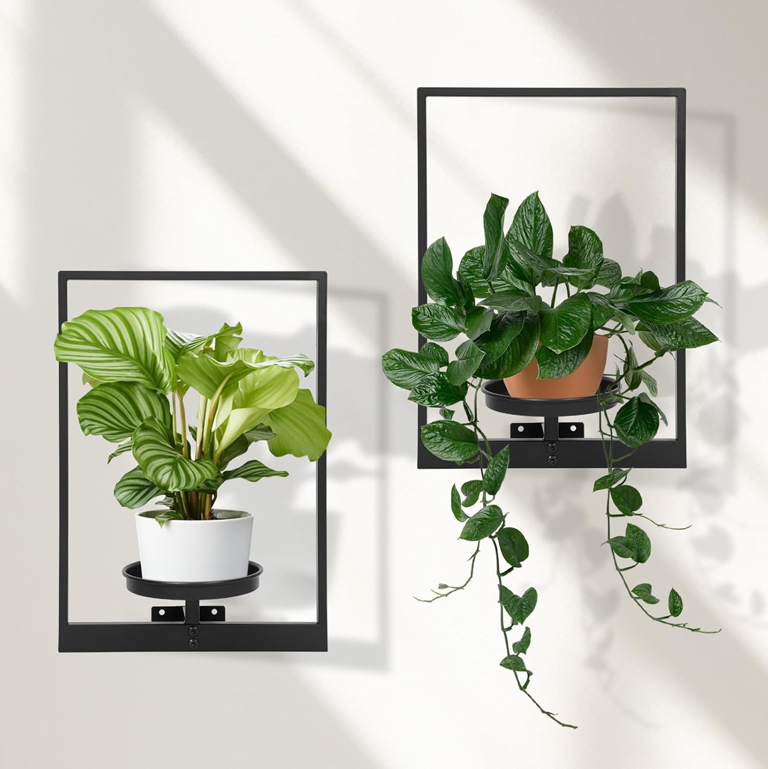 Wall Planters for Indoor Plants, Window Plant Shelves Set of 3, Wall Plant Stand to Hold Large Pots - Premium Metal Hanging Plant Holder for Indoor Outdoor Decor