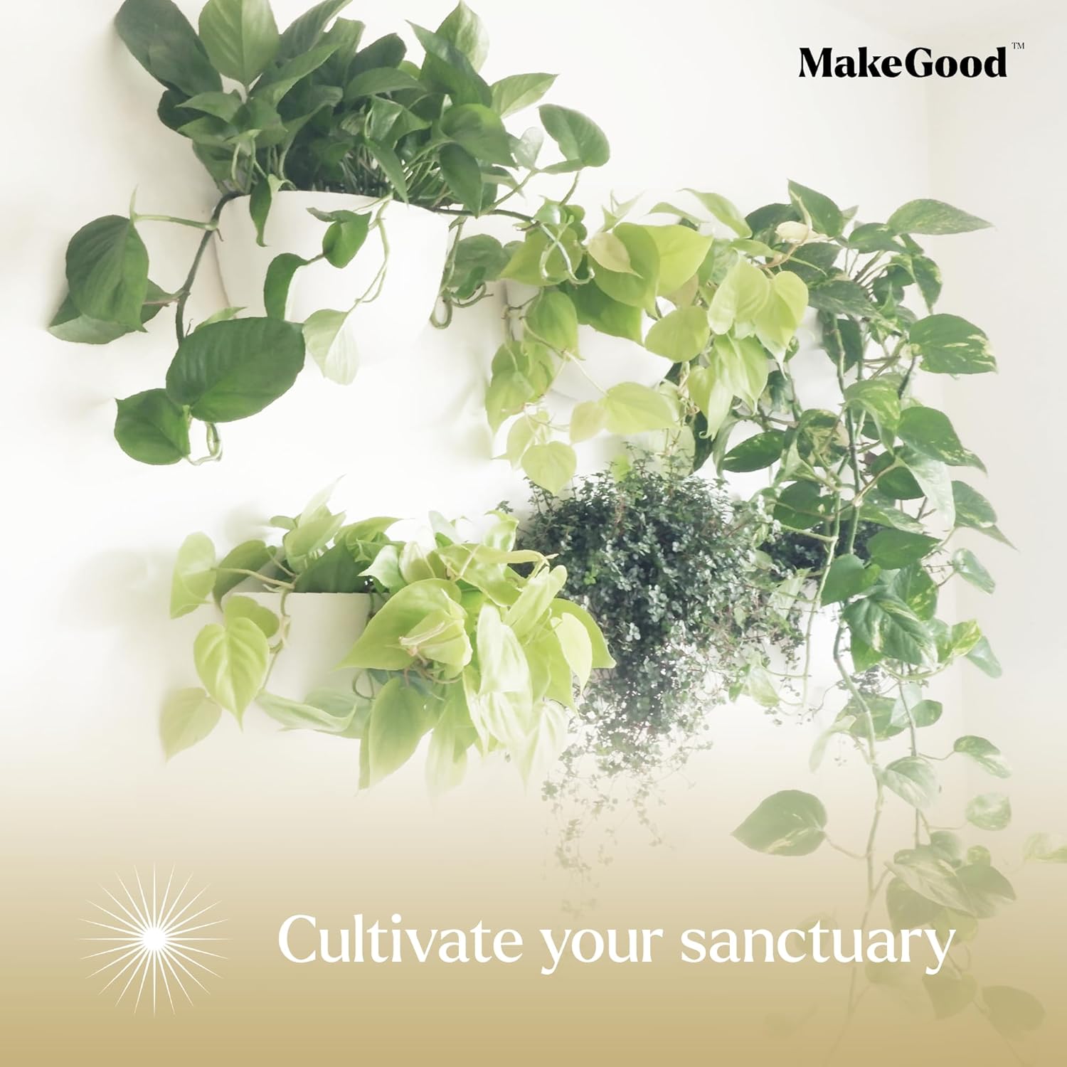 Make Good Virgo Wall Planters (Wide, Set of 6) - Easy to Water and Install - Lightweight - Design Your Own Vertical Garden - Melamine Plastic