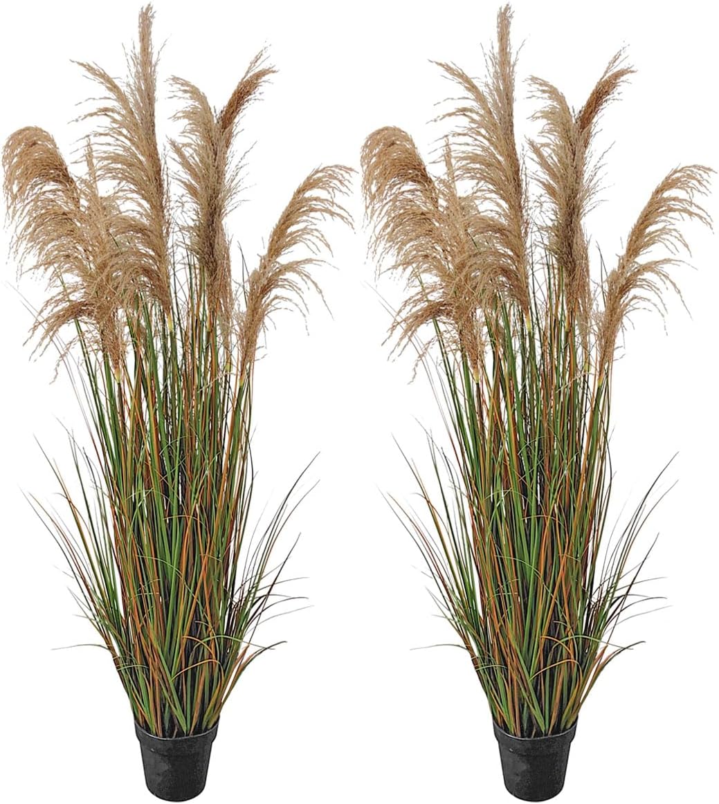 Alonfala - 43" Artificial Pampas Grass (2-Pack) - Faux Tall Grass Plants in Pots for Indoor Floor Decor, Housewarming, Home Office, Living Room