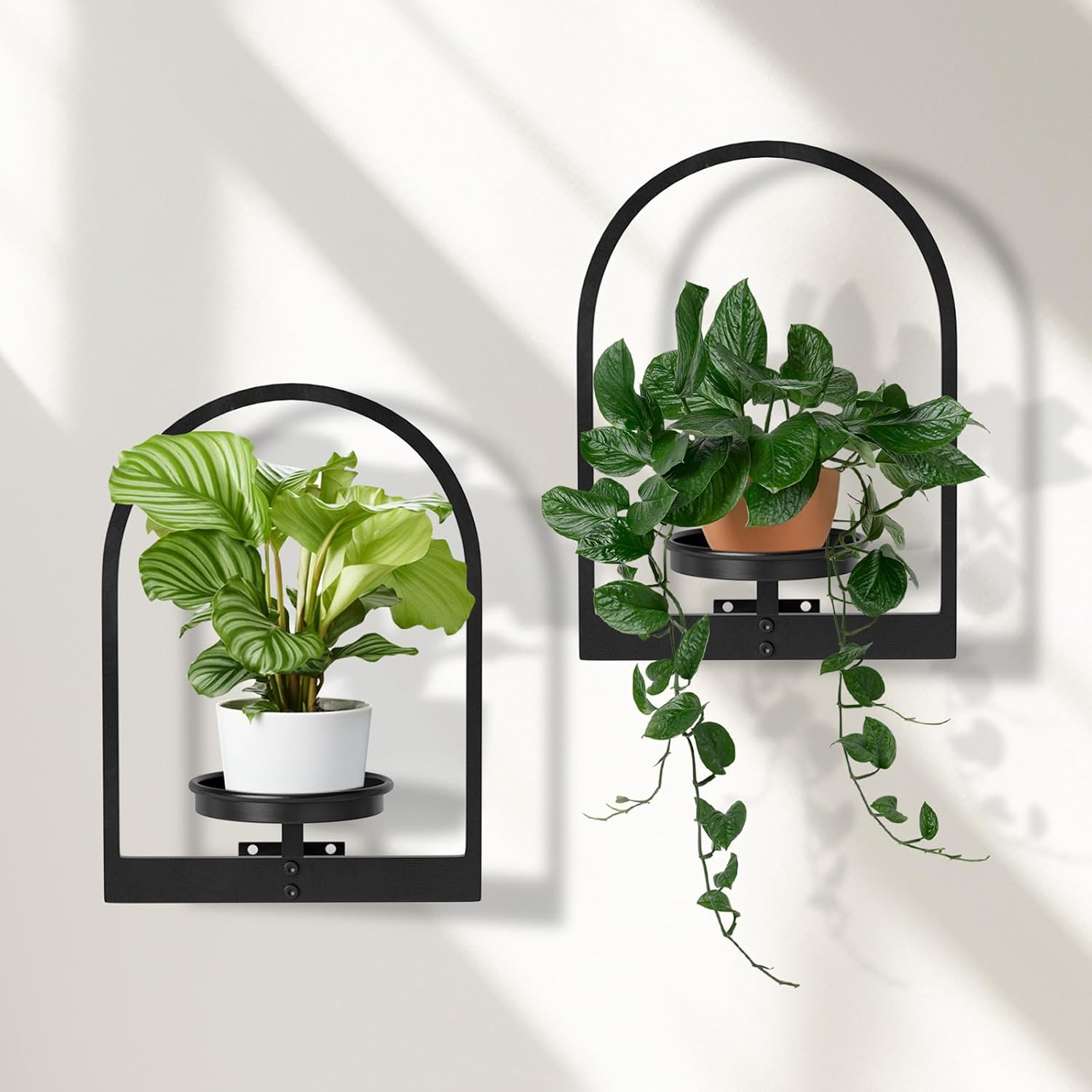 Wall Planters for Indoor Plants, Window Plant Shelves Set of 3, Wall Plant Stand to Hold Large Pots - Premium Metal Hanging Plant Holder for Indoor Outdoor Decor