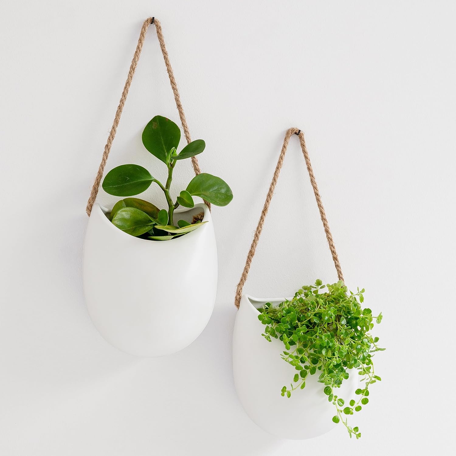 Kazai. Wall Planters -Ellie- | Hanging Ceramic Plant Pots 3 Pieces | Wall Decoration for Indoors, Balcony and Garden | White (Matte)