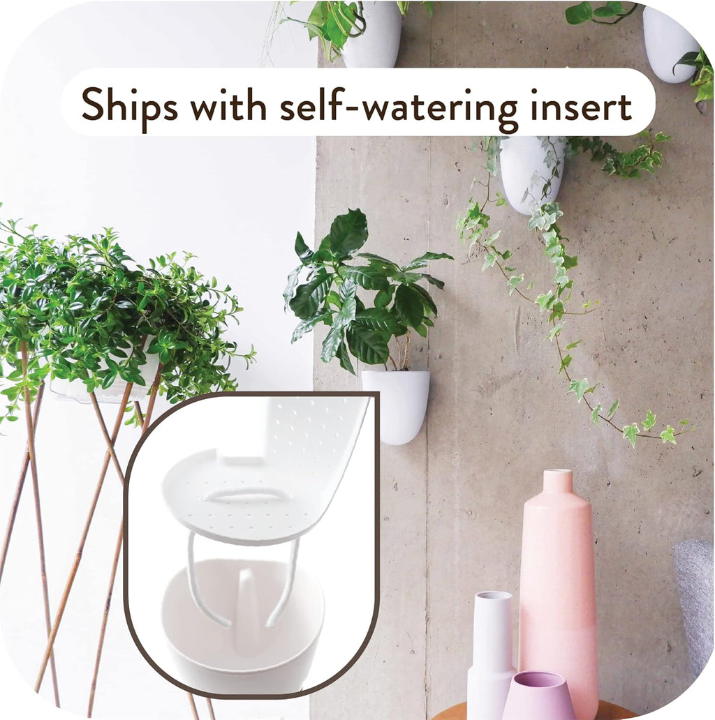 Make Good PlantPod Luxe - Self-Watering Wall Planters (Set of 6) - Easy to Water and Install - Lightweight - Design Your Own Vertical Garden - Wall Planters for Indoor Plants