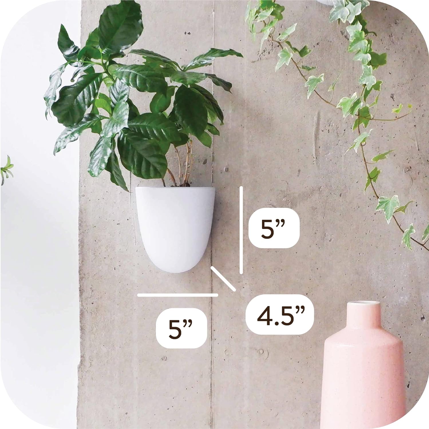 Make Good PlantPod Luxe - Self-Watering Wall Planters (Set of 6) - Easy to Water and Install - Lightweight - Design Your Own Vertical Garden - Wall Planters for Indoor Plants